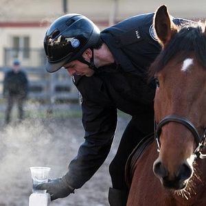 Fotoğraf Rookie Blue