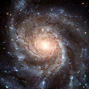 Fotoğraf Patricio Guzmán