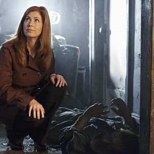 Fotoğraf Dana Delany