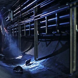 Fotoğraf Steven Yeun