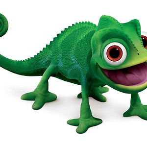 Fotoğraf Karmakarışık