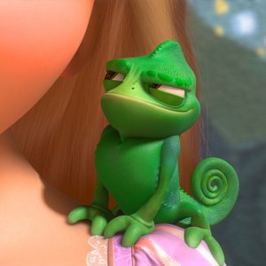 Fotoğraf Karmakarışık