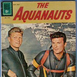Fotoğraf The Aquanauts