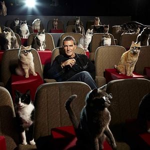 Fotoğraf Antonio Banderas