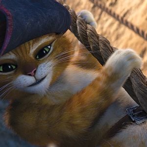 Fotoğraf Çizmeli Kedi