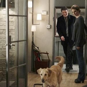 Fotoğraf Nathan Fillion