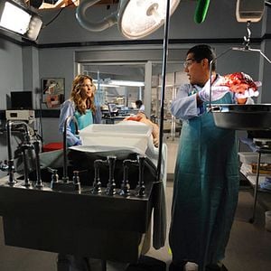 Fotoğraf The Glades