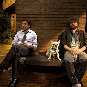 Fotoğraf Git Başımdan!