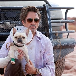 Fotoğraf Git Başımdan!