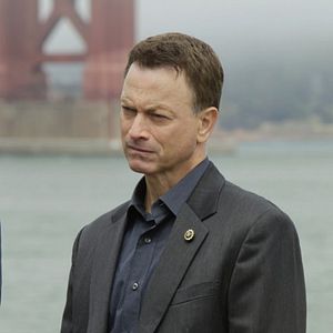 Fotoğraf Gary Sinise