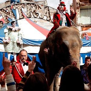 Fotoğraf Balada Triste De Trompeta