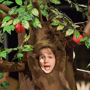 Fotoğraf Saftrik Greg’in Günlüğü