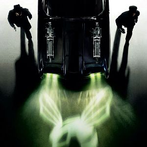 Fotoğraf Yeşil Yaban Arısı