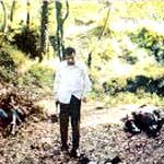 Fotoğraf Leoparın Kuyruğu