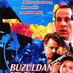 Fotoğraf Buzuldan Gelen Adam