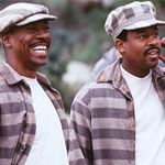 Fotoğraf Müebbet Kuşları