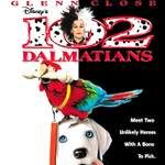 Fotoğraf 102 Dalmaçyalı