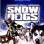 Fotoğraf Kar Köpekleri