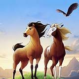 Fotoğraf Özgür Ruh