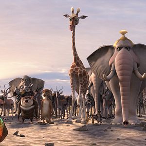 Fotoğraf Sevimli Hayvanlar