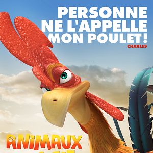 Fotoğraf Sevimli Hayvanlar