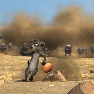 Fotoğraf Holger Tappe