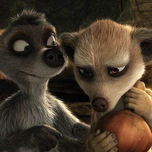 Fotoğraf Sevimli Hayvanlar