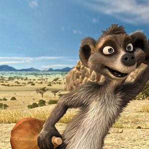 Fotoğraf Sevimli Hayvanlar