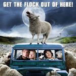 Fotoğraf Kara Koyun