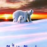 Fotoğraf Beyaz Gezegen