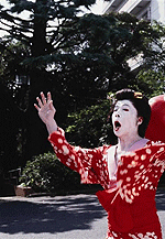 Fotoğraf Yaşasın Yönetmen!