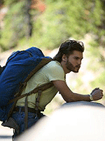 Fotoğraf Into the Wild