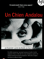 Fotoğraf Endülüs Köpeği