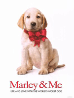 Fotoğraf Marley ve Ben