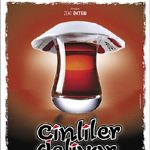 Fotoğraf Çinliler Geliyor