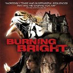 Fotoğraf Burning Bright