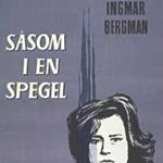 Fotoğraf Aynanın İçinden