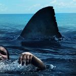 Fotoğraf Denizin Dişleri