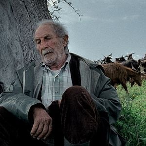 Fotoğraf Le Quattro Volte