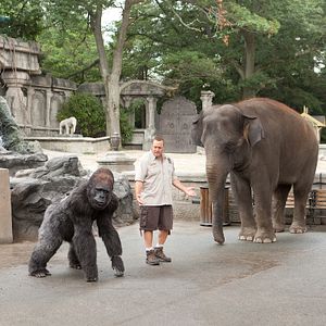 Fotoğraf Hayvan Bakıcısı