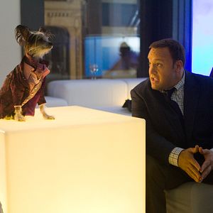 Fotoğraf Hayvan Bakıcısı