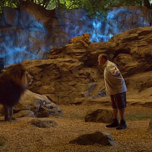 Fotoğraf Hayvan Bakıcısı