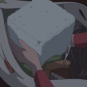 Fotoğraf Aşırıcılar