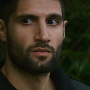 Fotoğraf Dört Aslan