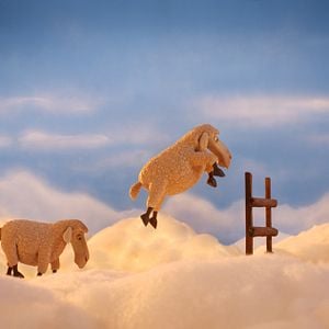 Fotoğraf Jesper Møller