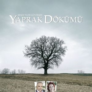 Fotoğraf Yaprak Dökümü