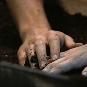 Fotoğraf Blanca Suárez