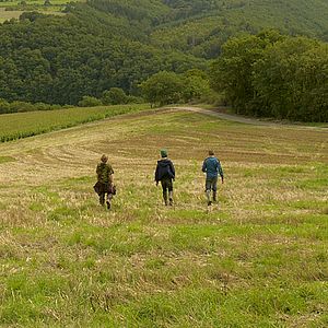 Fotoğraf Zacharie Chasseriaud