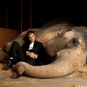 Fotoğraf Robert Pattinson