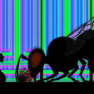 Fotoğraf Michel Ocelot